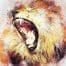 Teranga Lions