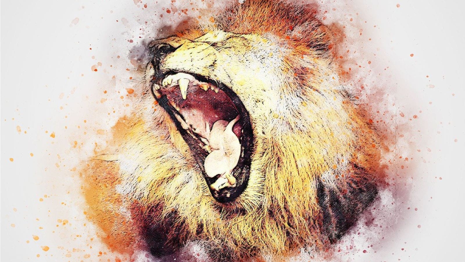 Teranga Lions