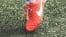 Grass and Boot
