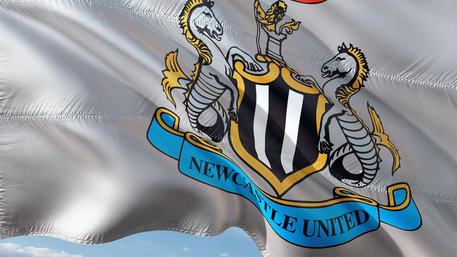 Newcastle United Flag
